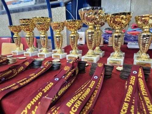 Vidovdanski turnir 2025